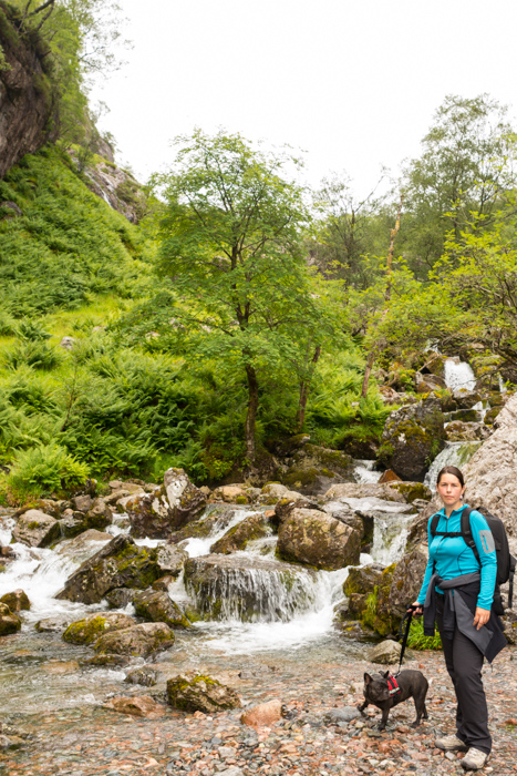 Cascada de la ruta