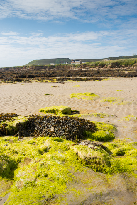 Dunnet Bay