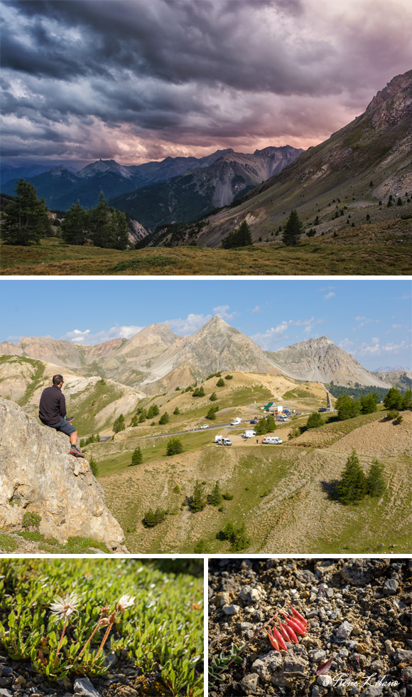 1) Col d´Izoard después de la tormenta - 2) Zona de pernocta - 3) Flores de la zona