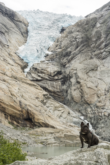 Max en el Glaciar Briksdalsbreen