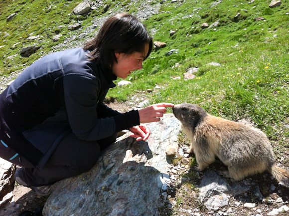 Acariciando a las marmotas