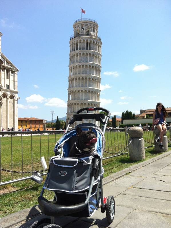 Max con el cochecito para perros en Pisa