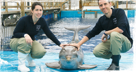 Con los delfines en el Oceanográfico de Valencia