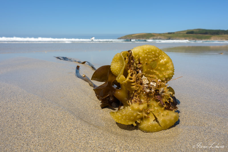 Playa de Neimiña en autocaravana, Galicia