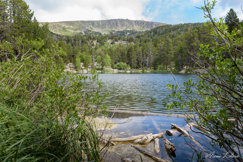 LLac de L'Orri