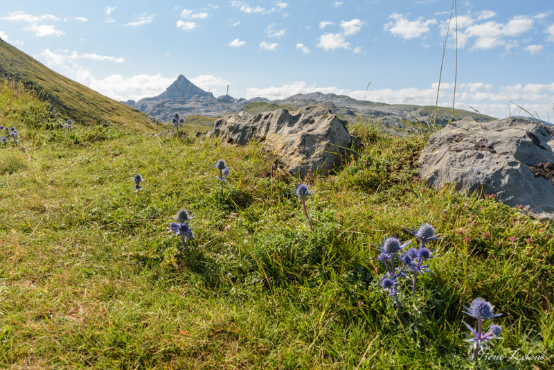 Ruta al pico Arlas