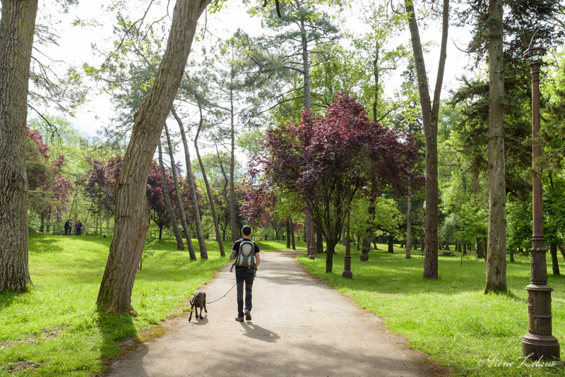 Vía Verde del Pas