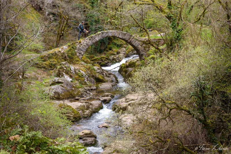 Peyrusse-le-Roc, Aveyron, Francia