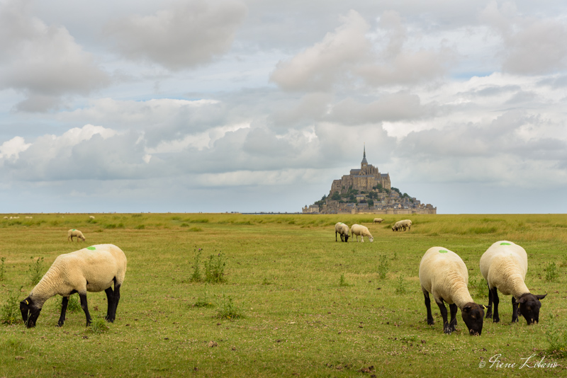 Normandía en autocaravana, Mont-Saint-Michel