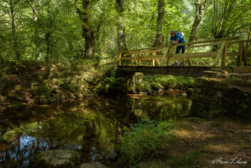 Ruta de las fuentes, Saja-Besaya, Cantabria