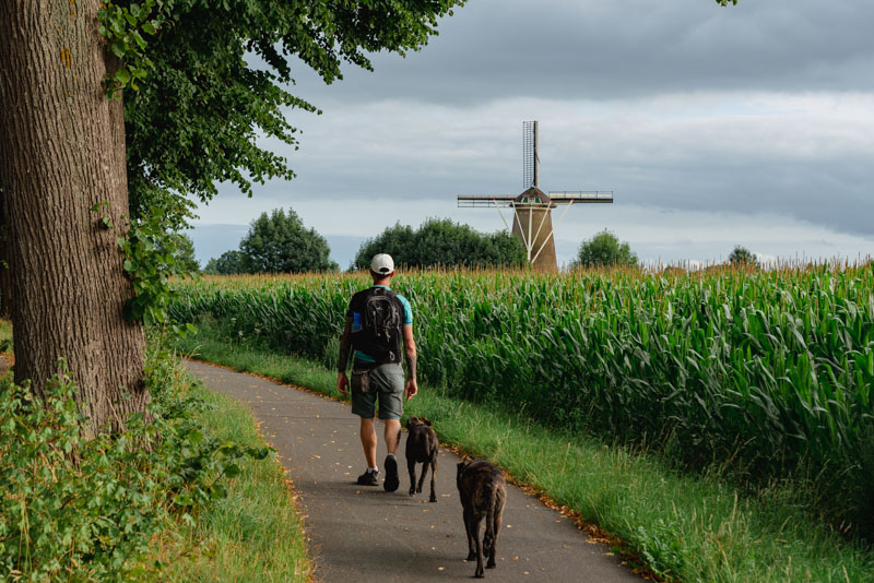 Bronkhorst en autocaravana