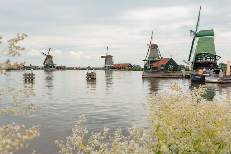 Zaanse Schans en autocaravana