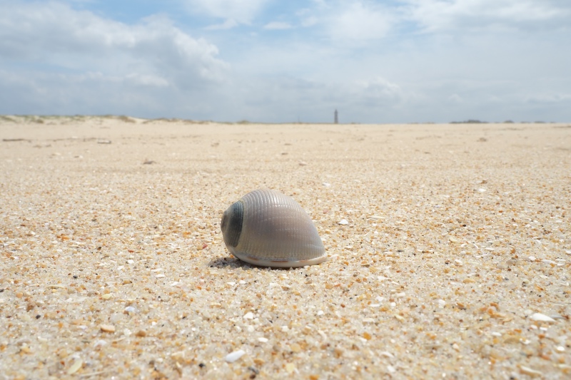 Dunas de Sao Jacinto en autocaravana