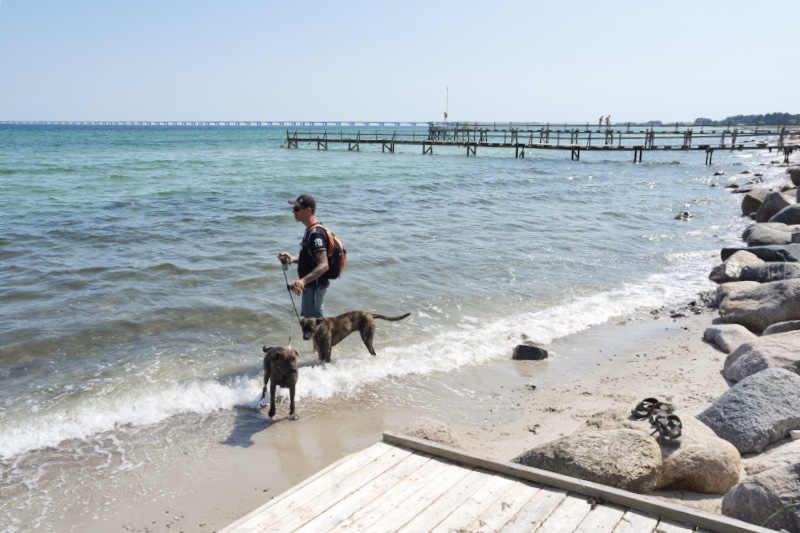 Playa de Nyborg, Dinamarca en autocaravana