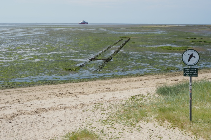 Isla de Romo, Dinamarca en autocaravana